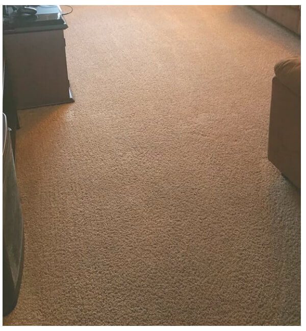 Clean, bright carpet after Burrous Brothers cleaning