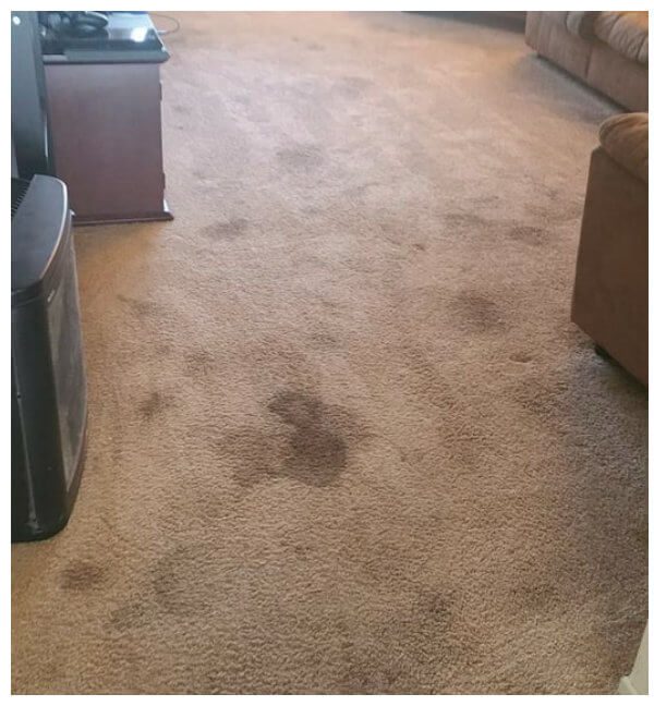 Dirty, stained carpet before cleaning